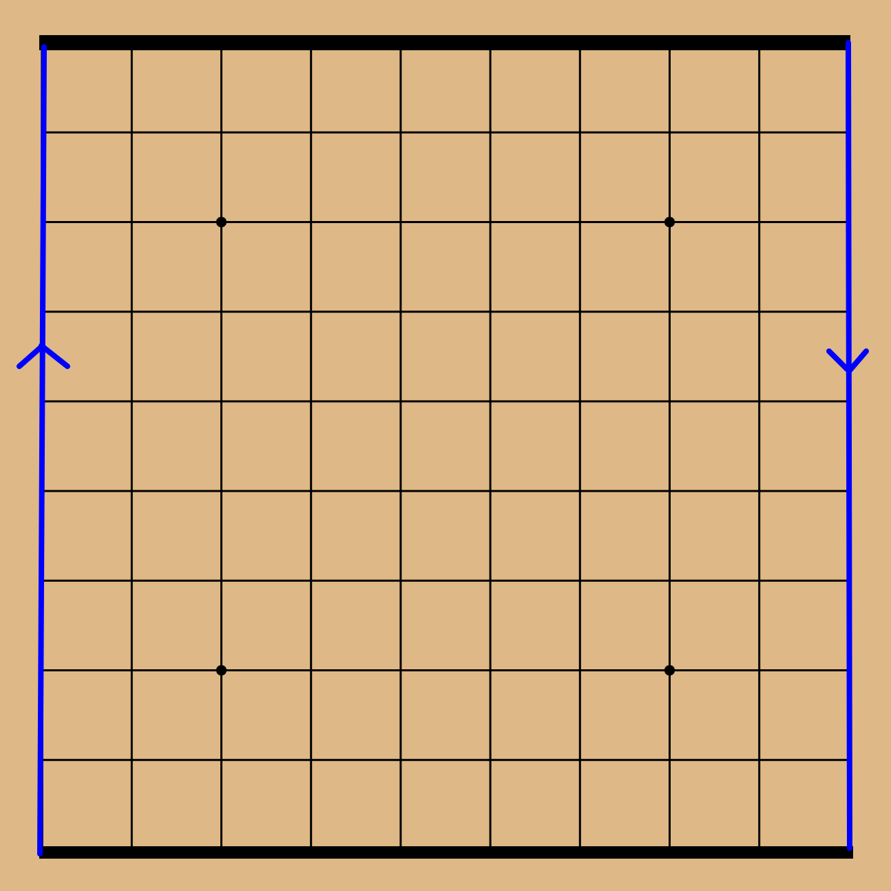 A Möbius strip go
        board: the top and bottom edges are thickened, and the left and right
        edges are blue with arrows pointing in opposite directions.