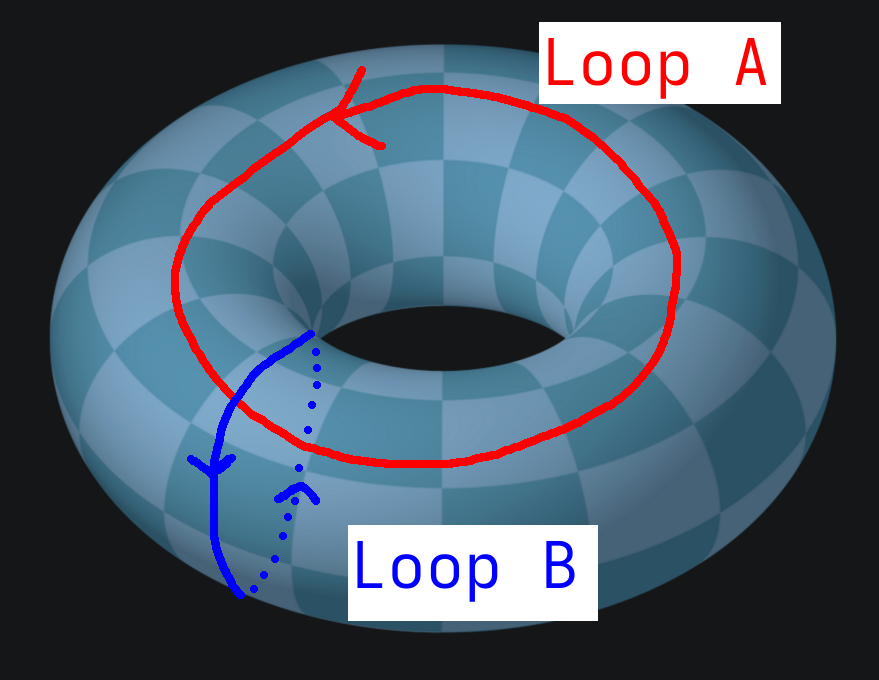 A torus with the two
    nontrivial loops drawn: loop A goes around the whole and loop B goes
    through it.