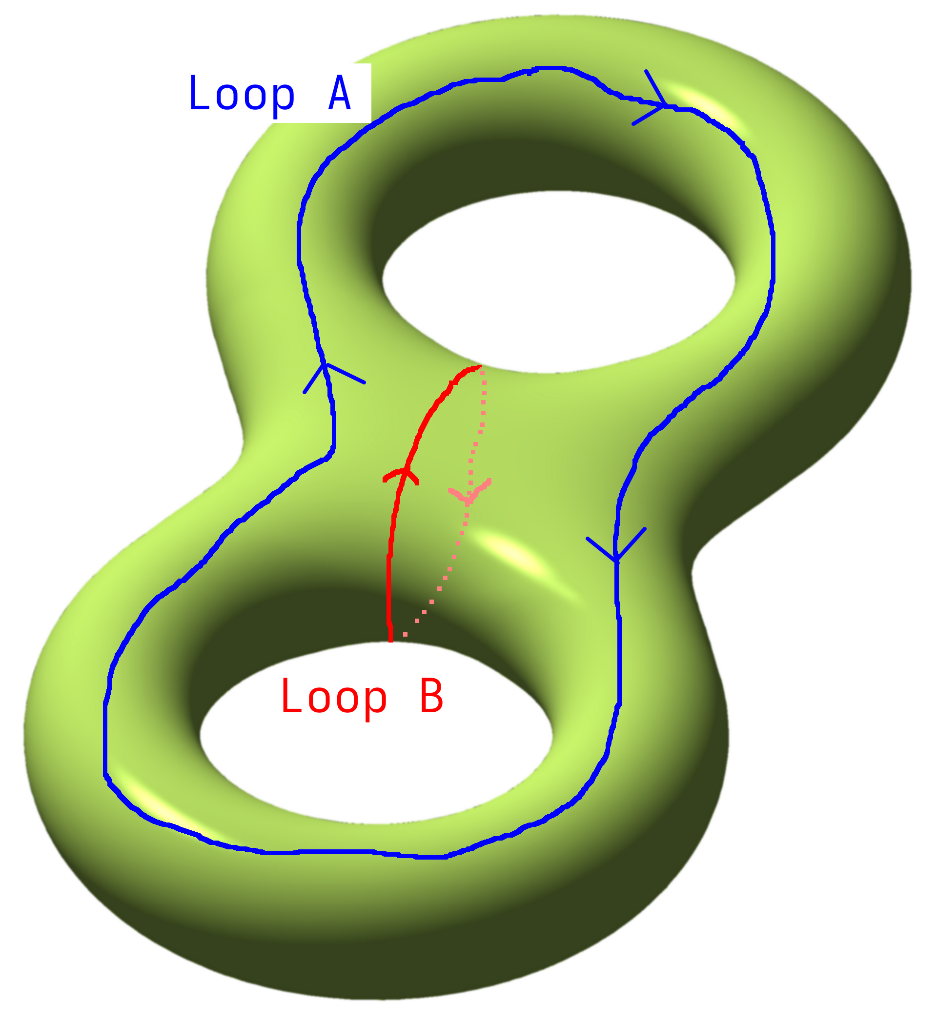 A double torus
        with two loops drawn: loop A goes around both holes and loop B goes
        through both.